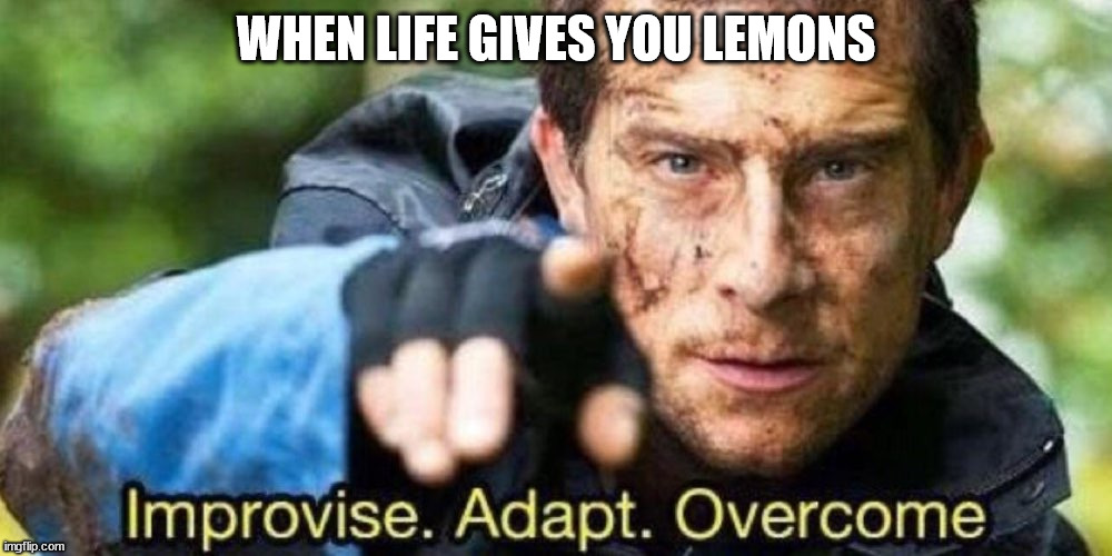 Bear Grylls - Adapt Improvise Overcome